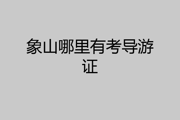 象山哪里有考导游证