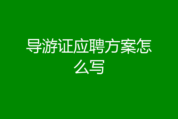 导游证应聘方案怎么写