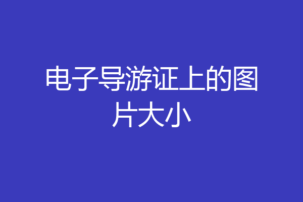 电子导游证上的图片大小