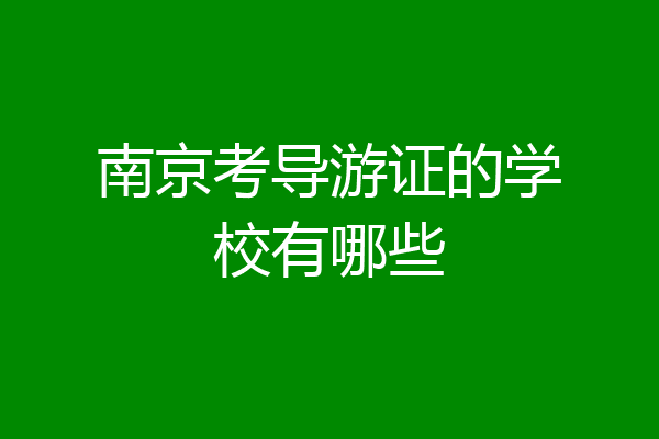 南京考导游证的学校有哪些