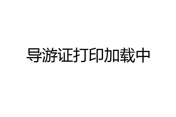 导游证打印加载中