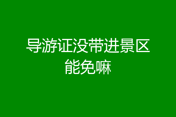 导游证没带进景区能免嘛