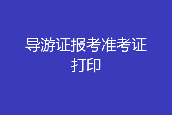 导游证报考准考证打印