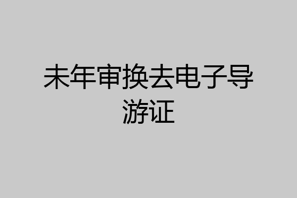 未年审换去电子导游证