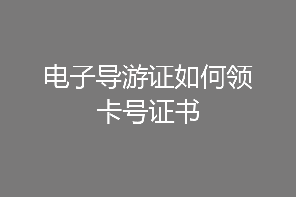 电子导游证如何领卡号证书