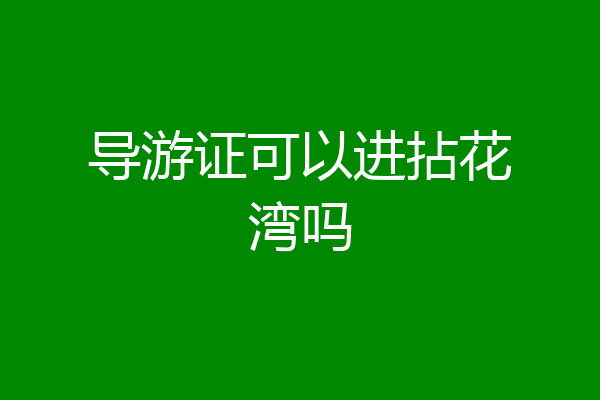 导游证可以进拈花湾吗