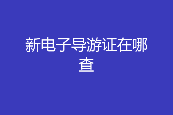 新电子导游证在哪查