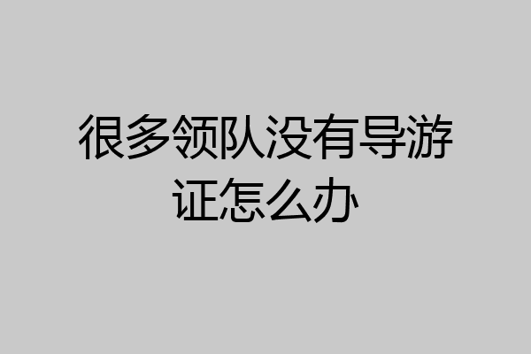 很多领队没有导游证怎么办