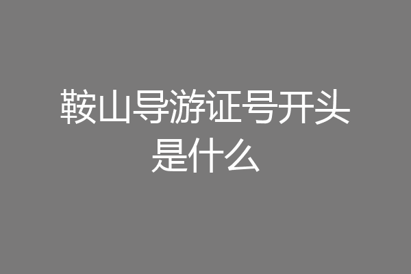 鞍山导游证号开头是什么