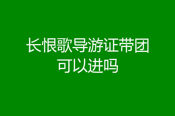 长恨歌导游证带团可以进吗