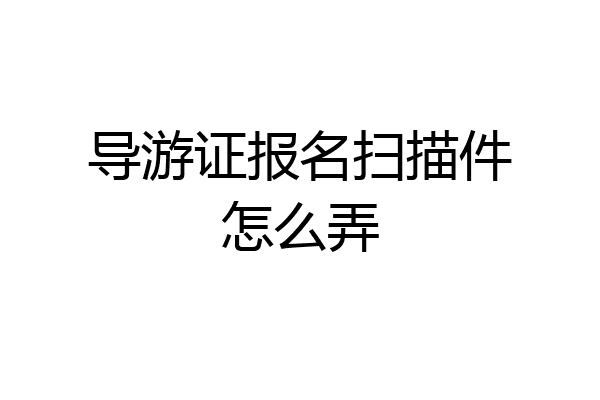 导游证报名扫描件怎么弄
