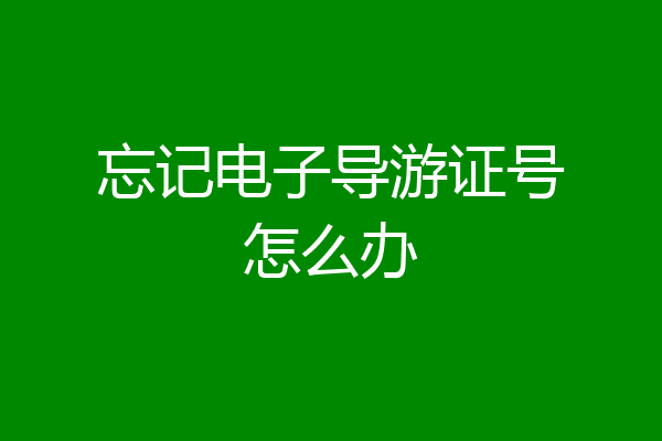 忘记电子导游证号怎么办