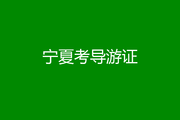 宁夏考导游证