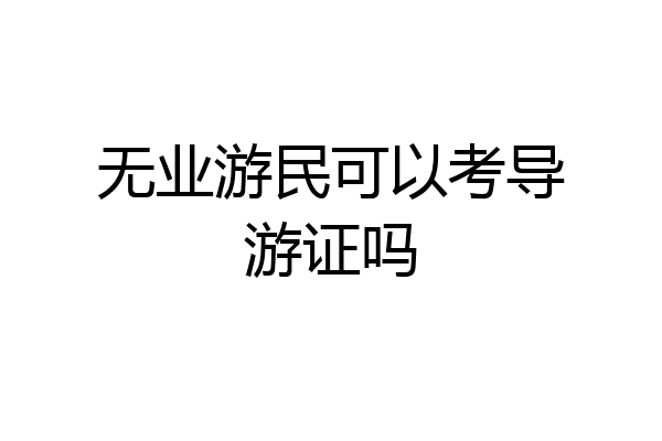 无业游民可以考导游证吗