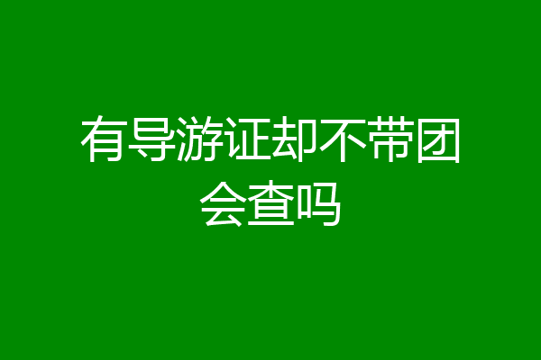 有导游证却不带团会查吗