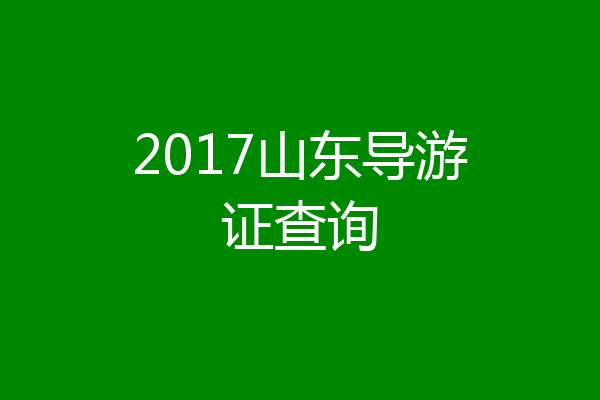 2017山东导游证查询