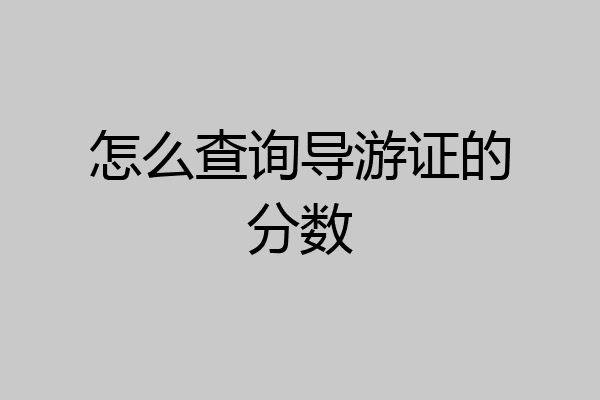 怎么查询导游证的分数