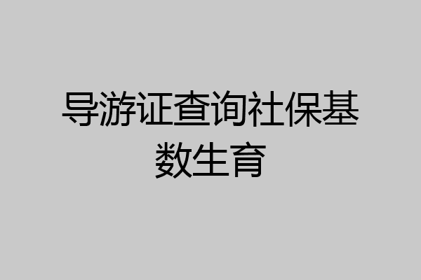导游证查询社保基数生育