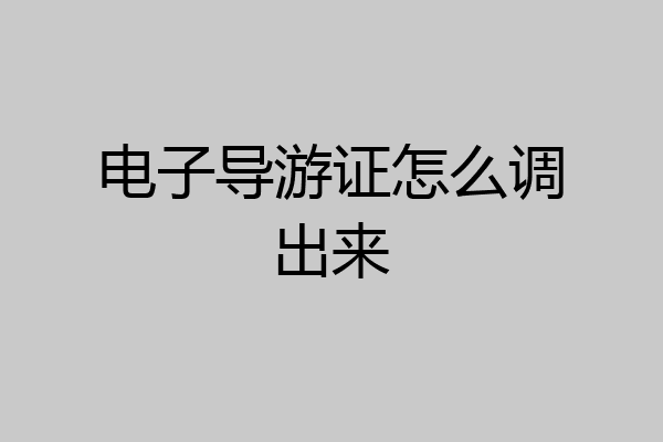 电子导游证怎么调出来