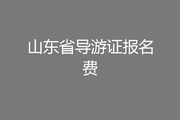 山东省导游证报名费