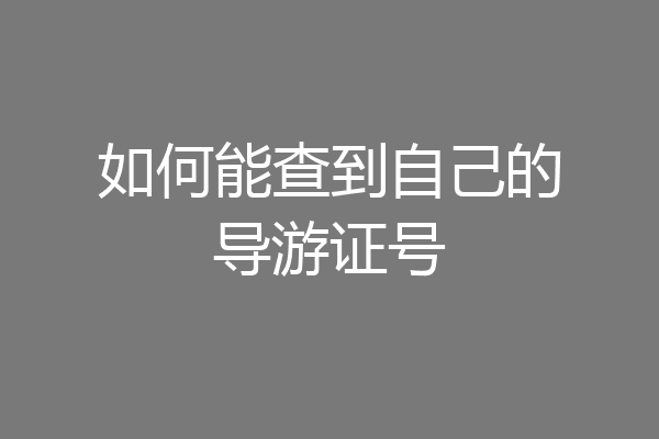 如何能查到自己的导游证号