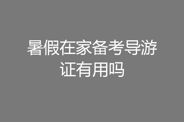 暑假在家备考导游证有用吗