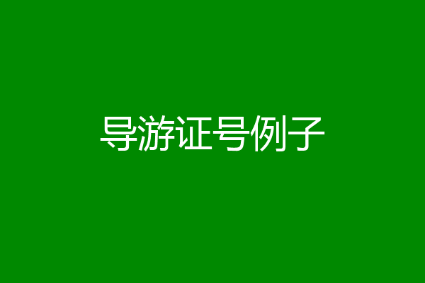 导游证号例子