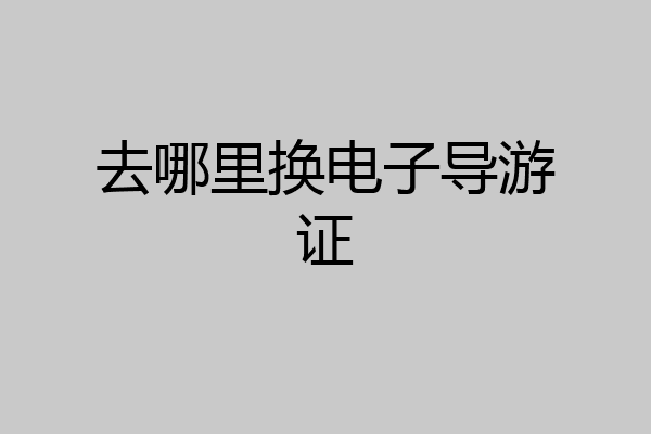 去哪里换电子导游证