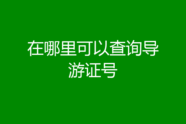 在哪里可以查询导游证号