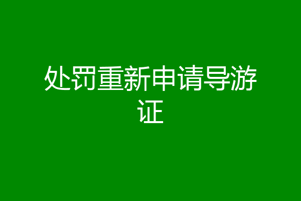 处罚重新申请导游证