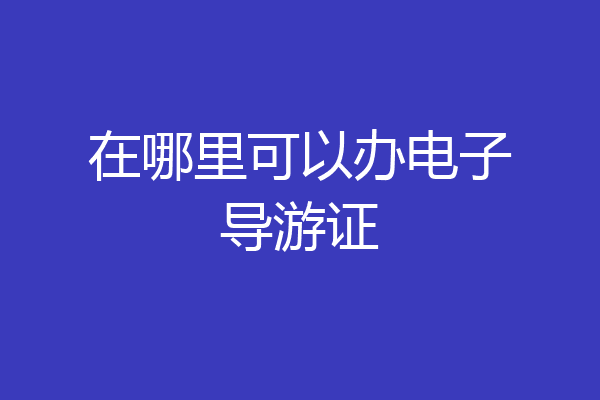在哪里可以办电子导游证