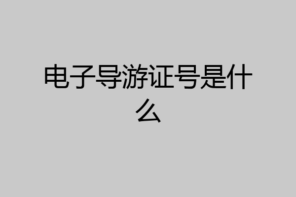 电子导游证号是什么