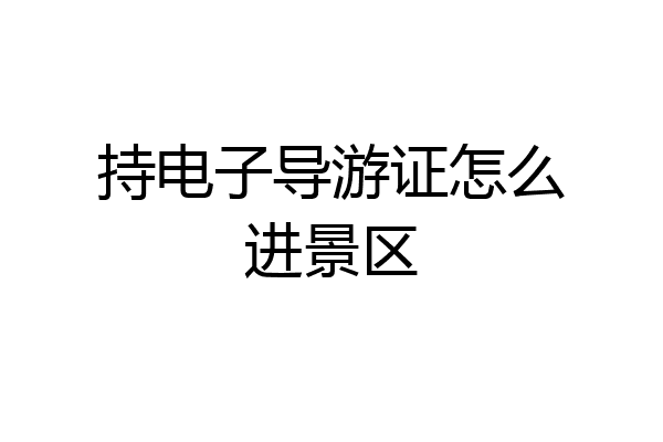 持电子导游证怎么进景区