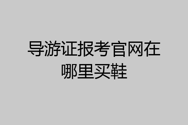 导游证报考官网在哪里买鞋
