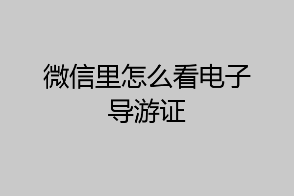 微信里怎么看电子导游证