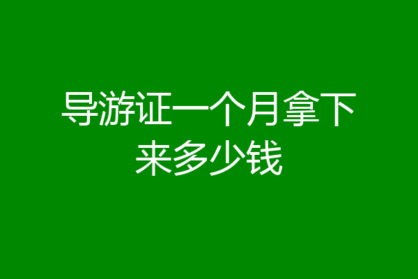 导游证一个月拿下来多少钱