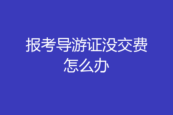 报考导游证没交费怎么办