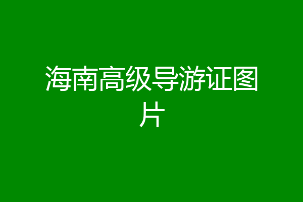 海南高级导游证图片