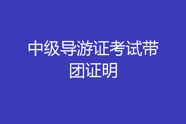 中级导游证考试带团证明