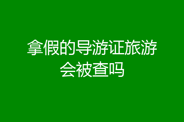 拿假的导游证旅游会被查吗