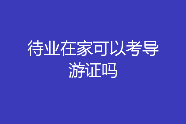 待业在家可以考导游证吗