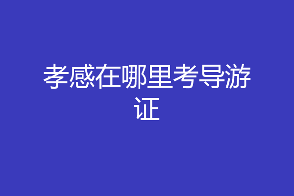 孝感在哪里考导游证
