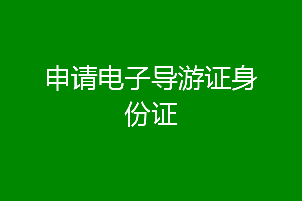 申请电子导游证身份证