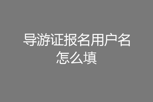导游证报名用户名怎么填