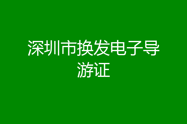 深圳市换发电子导游证
