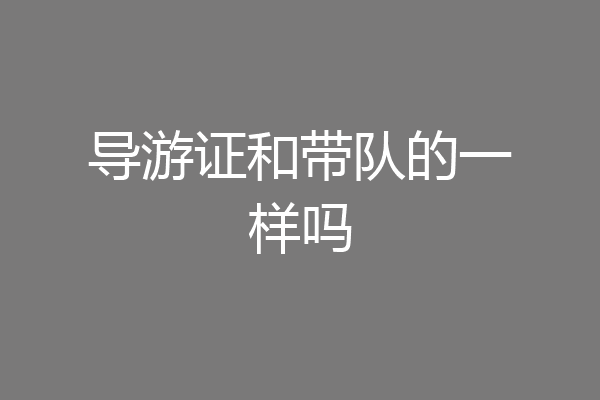 导游证和带队的一样吗
