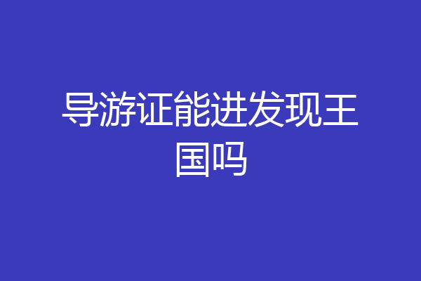 导游证能进发现王国吗