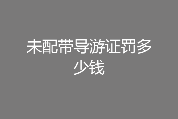未配带导游证罚多少钱