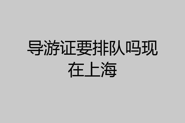 导游证要排队吗现在上海