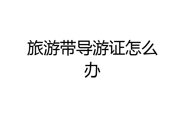 旅游带导游证怎么办